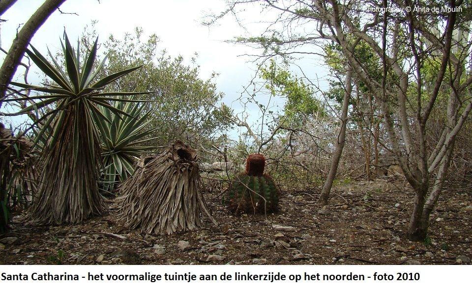 20. Santa Catharina voormalig tuintje 2010